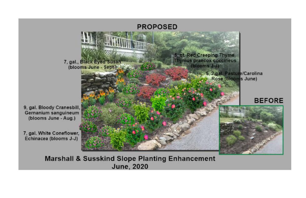 Regenerative & Environmental Garden Design Healthy Home Habitats