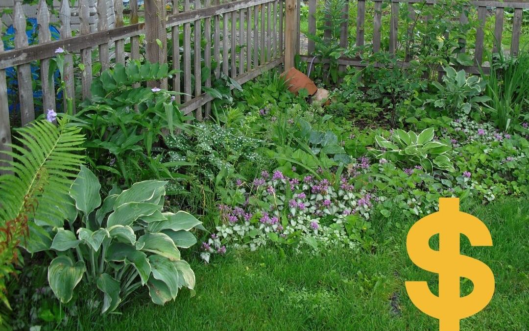 5 Steps to Drought-Proof Your Landscape
