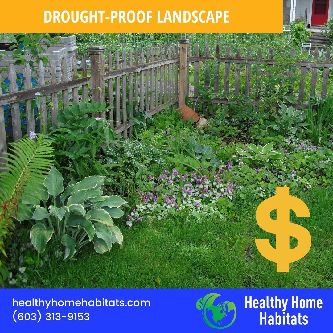 5 Steps to Drought-Proof Your Landscape