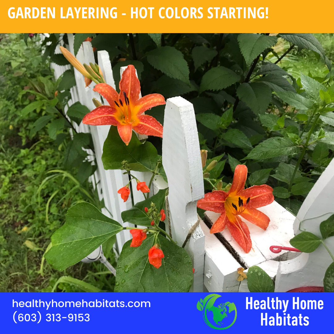 Garden Layering: The Hot Colors are Starting!