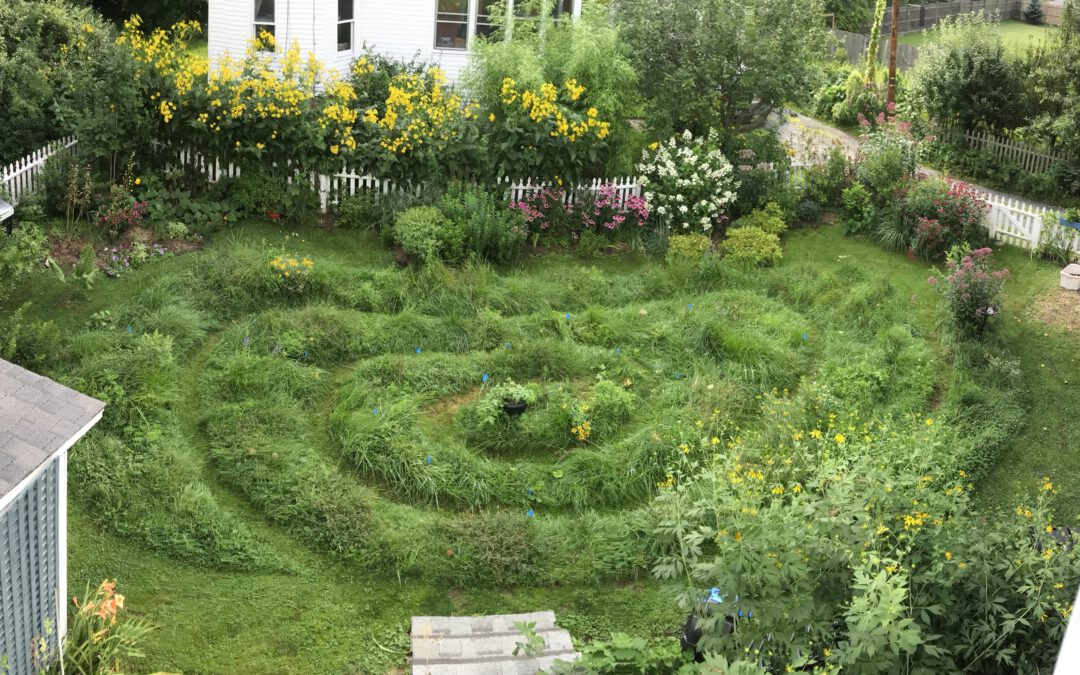 Six Surprises in the Lawn Spiral Adventure