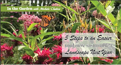 5 Choices for an Easier more Enjoyable Landscape Next/This Year!