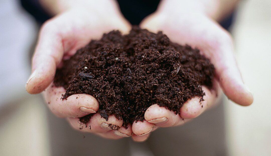 ‘Actually, You Have Great Soil’