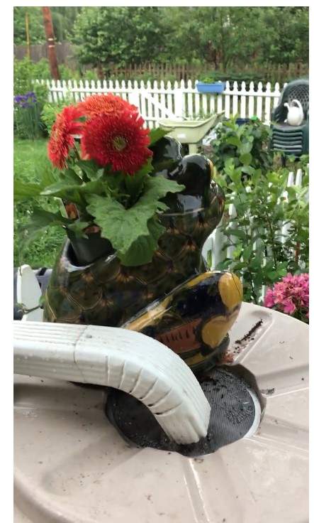 Froggie Supervising the Garden Fun frog sitting on a rain barrel with colorful flowers.